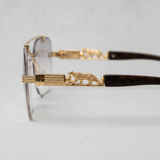 Solar Cheeta Magical Glasses 2.0
